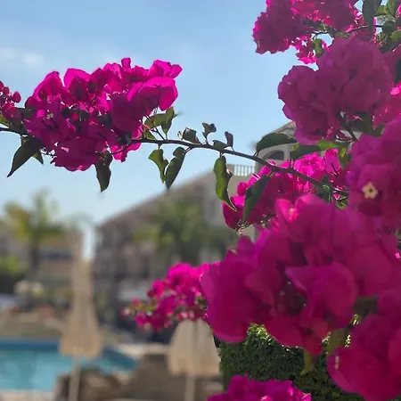 Royal Seacrest F G5 Ground Floor Paphos